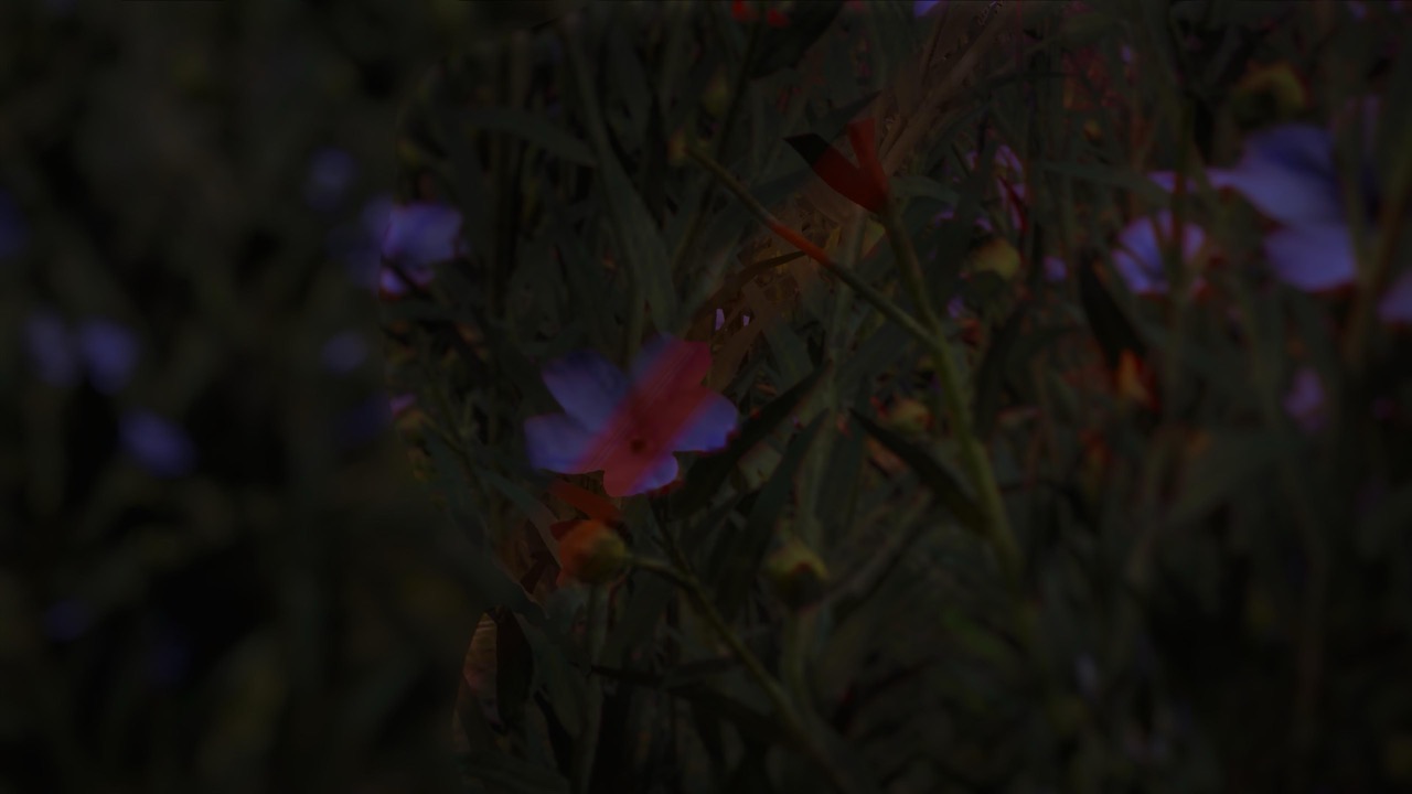 Studies on Breaking Immersion